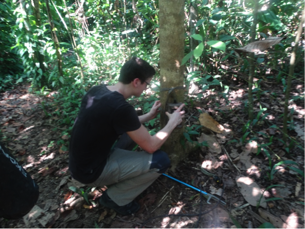 Barry setting up camera traps