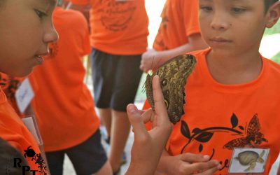 Kids are having so much fun on the Summer Club 2019