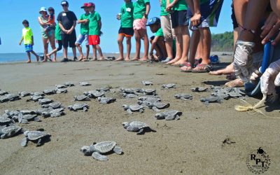 Another successful Summer Club is over!