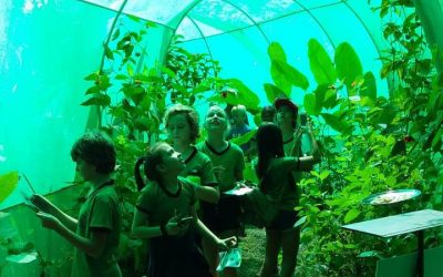 Now the Butterfly Garden has guided tours once a month